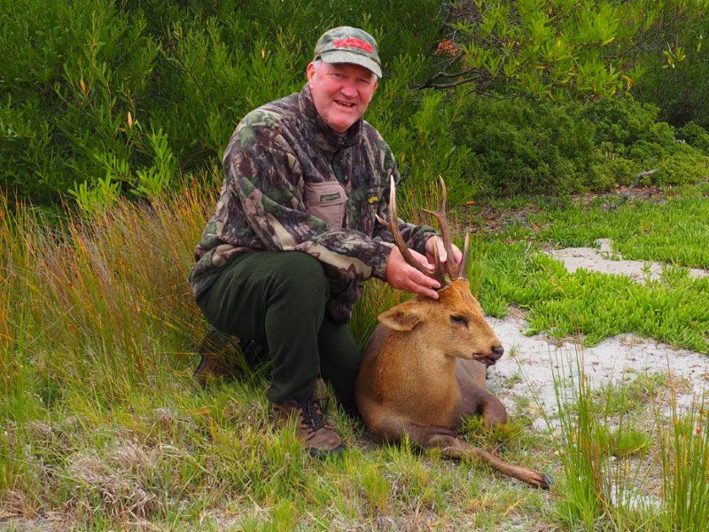 Gallery Hog Deer Hunting Australia